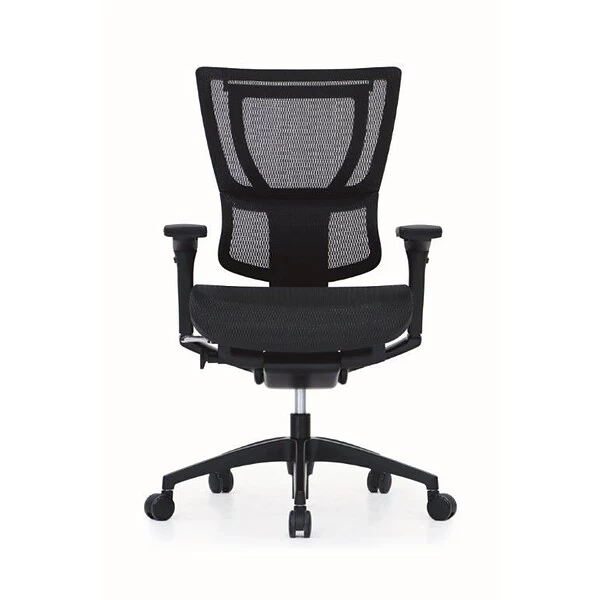 Raynor Eurotech IOO Series Mid-Back Managers Chair, Mesh, Black With Black Frame - Image 5