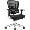 Raynor Eurotech Ergohuman Mid Back Executive Chair, Patterned Mesh, Black