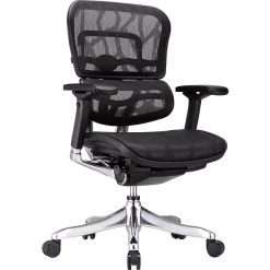 Raynor Eurotech Ergohuman Mid Back Executive Chair, Patterned Mesh, Black
