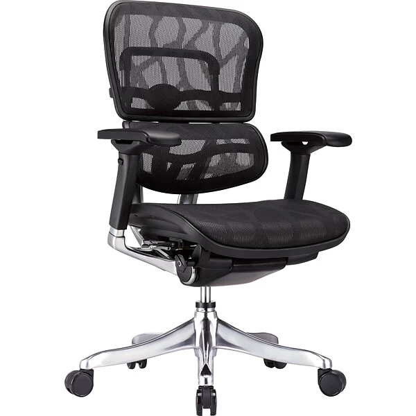 Raynor Eurotech Ergohuman Mid Back Executive Chair, Patterned Mesh, Black