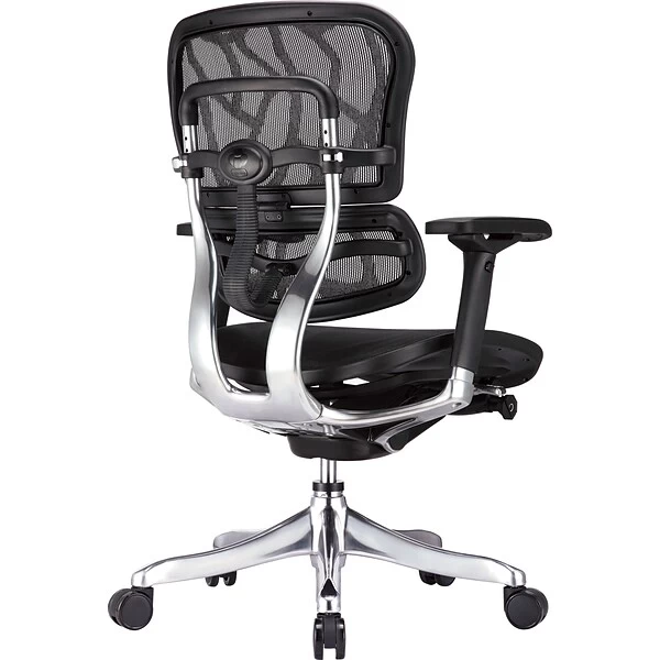 Raynor Eurotech Ergohuman Mid Back Executive Chair, Patterned Mesh, Black - Image 2
