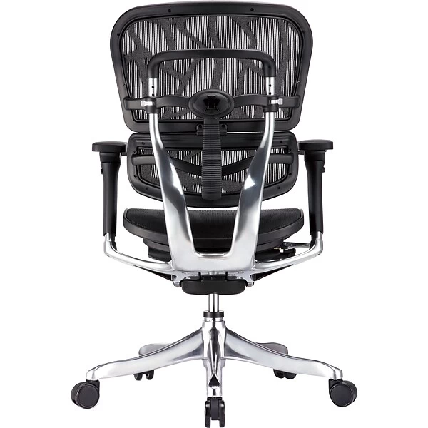 Raynor Eurotech Ergohuman Mid Back Executive Chair, Patterned Mesh, Black - Image 3