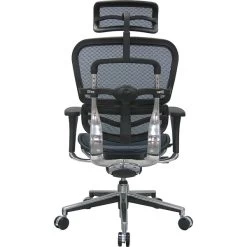 Raynor Eurotech Ergo Human High Back Managers Chair, With Headrest And Mesh, Blue