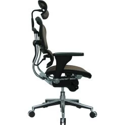 Raynor Eurotech Ergo Human High Back Managers Chair, With Headrest And Mesh, Orange