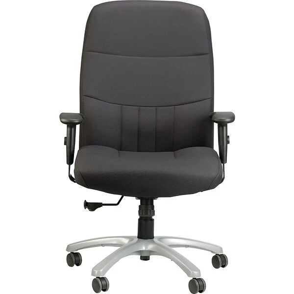 Raynor Eurotech Excelsior Fabric Big And Tall Manager's Chair, Black (BM90000-BLK)