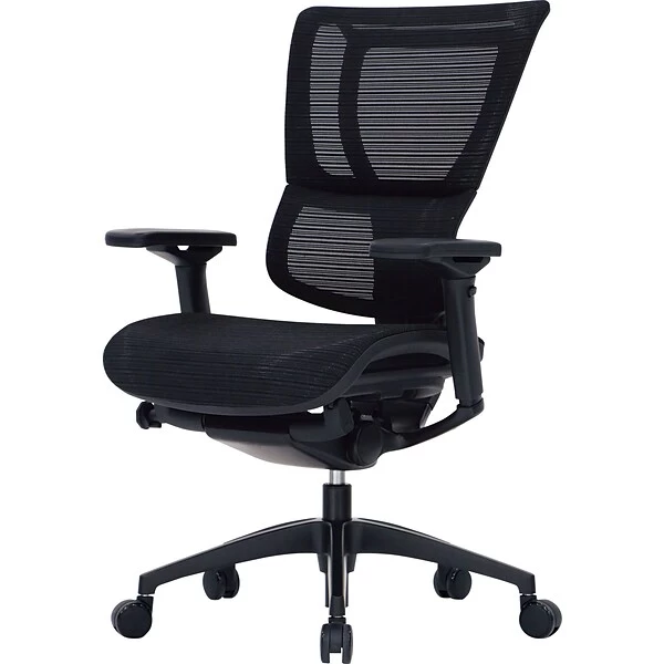 Raynor Eurotech IOO Series Mid-Back Managers Chair, Mesh, Black With Black Frame - Image 2