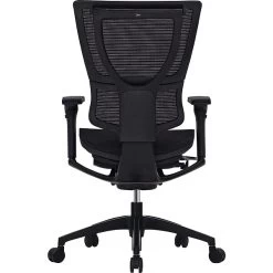 Raynor Eurotech IOO Series Mid-Back Managers Chair, Mesh, Black With Black Frame