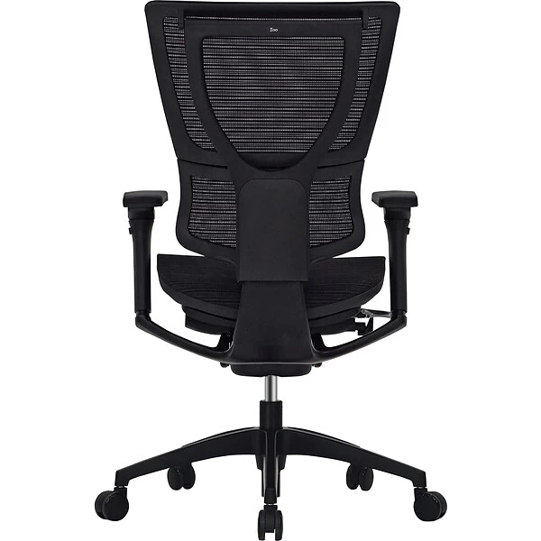 Raynor Eurotech IOO Series Mid-Back Managers Chair, Mesh, Black With Black Frame