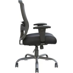Raynor Marketing Eurotech Plastic/Poly Computer & Desk Big & Tall Chair, Black (BT-350)