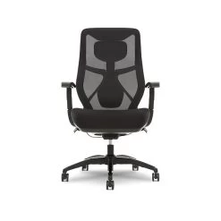 Beautyrest Duo-EX Ergonomic Mesh Swivel Task Chair, Black/Gray (60051GRY)