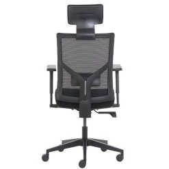 La-Z-Boy Ergonomic Mesh Task Chair, Black (60021)